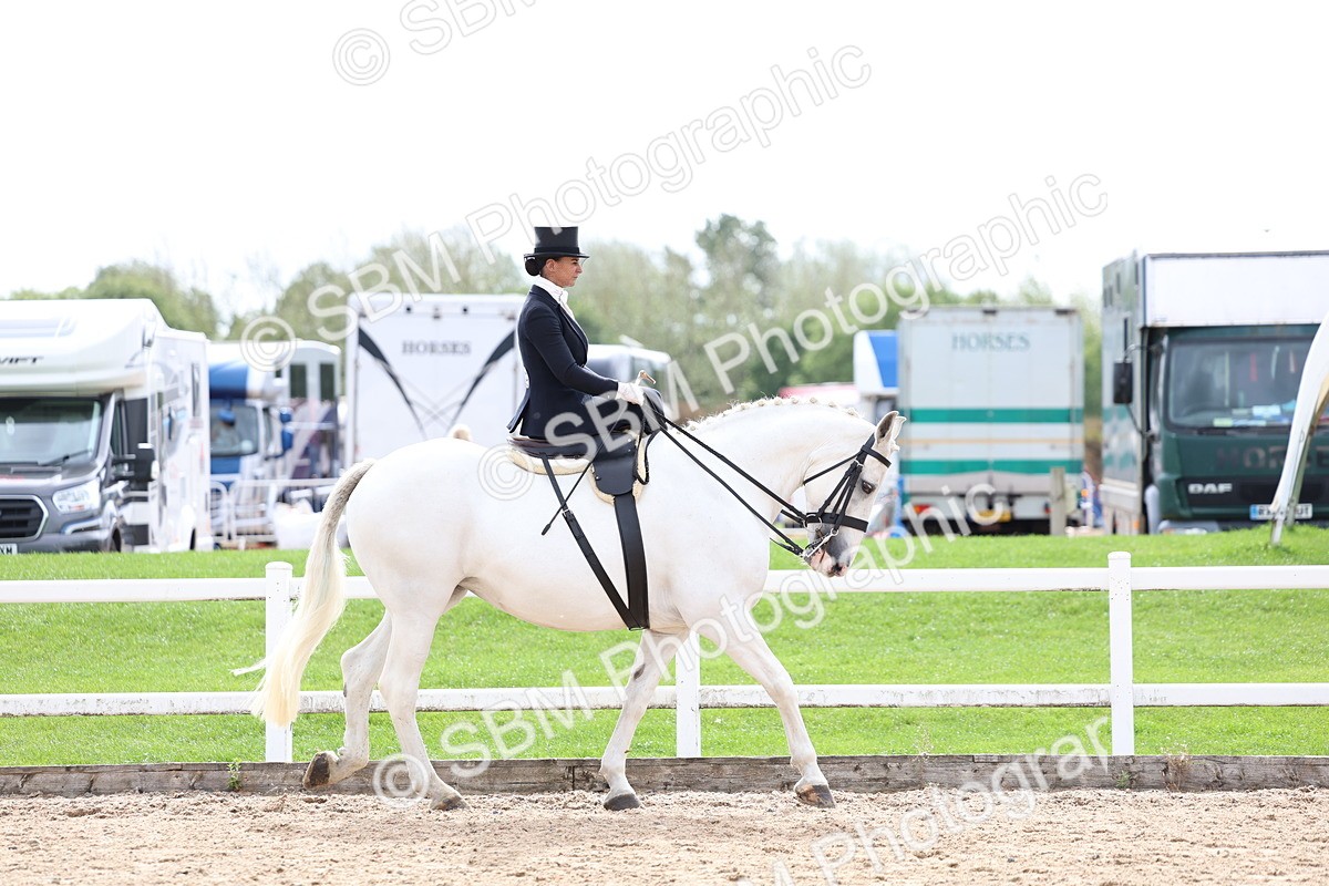 SBM_03374 - Class 24 - SSA Concours d'elegance (any age)
