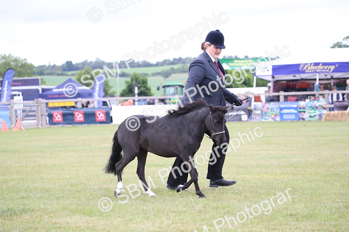 SBM_03522 - Class 23-25 - British Miniature Horse of the Year