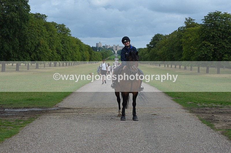 TT3_9132 - Time at Crossing 09:22 to 11:26