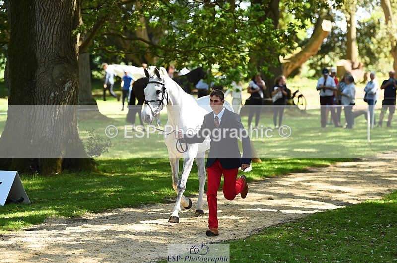 230524-151450-00154 - 314-CHANTILLY_AMATULLAH-Gaspard_Maksud-WEDTrotUp+DR