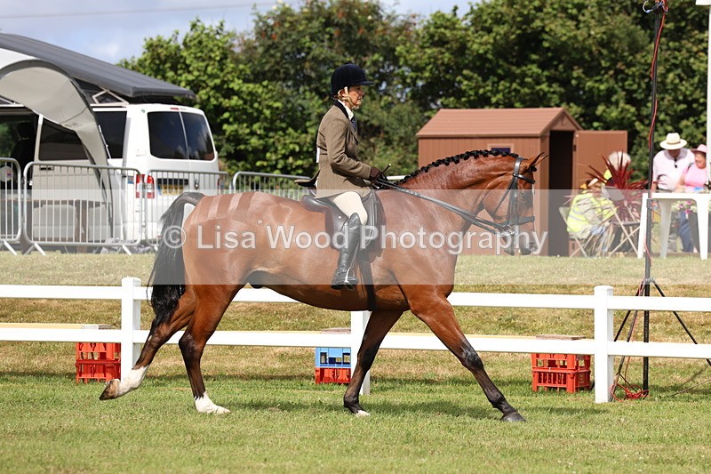 3E7A9300 - Class 4: Rising Star M/H Hunter