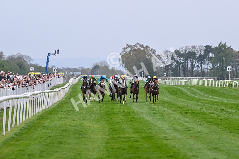 120425-Race 6-Musical Touch-1428 - Race 6