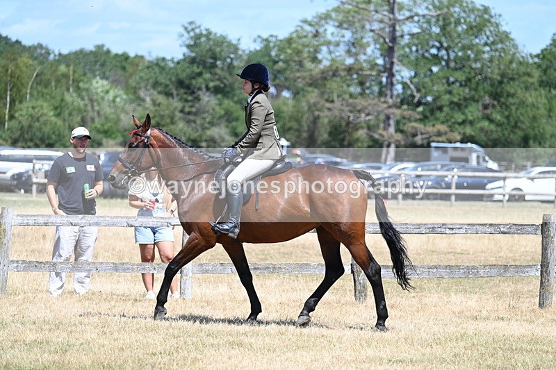 WJ7_2815 - Class 7 Riding Club Show Horse