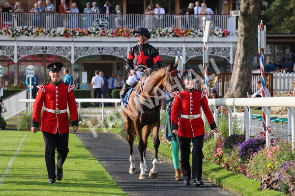 yr05092021r7-33 - Race 7 5.10pm Yorkshire Regiment Stakes