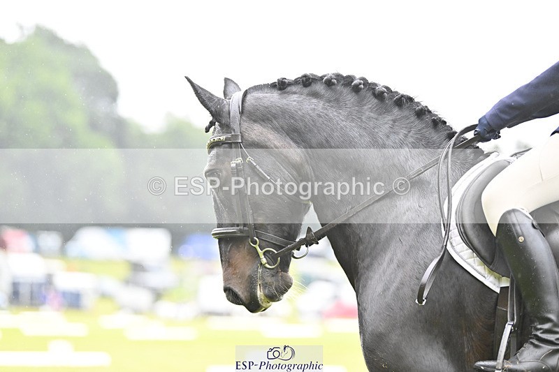 240824X-090601-21106 - D70 Section A and B 8.30 to 9.30