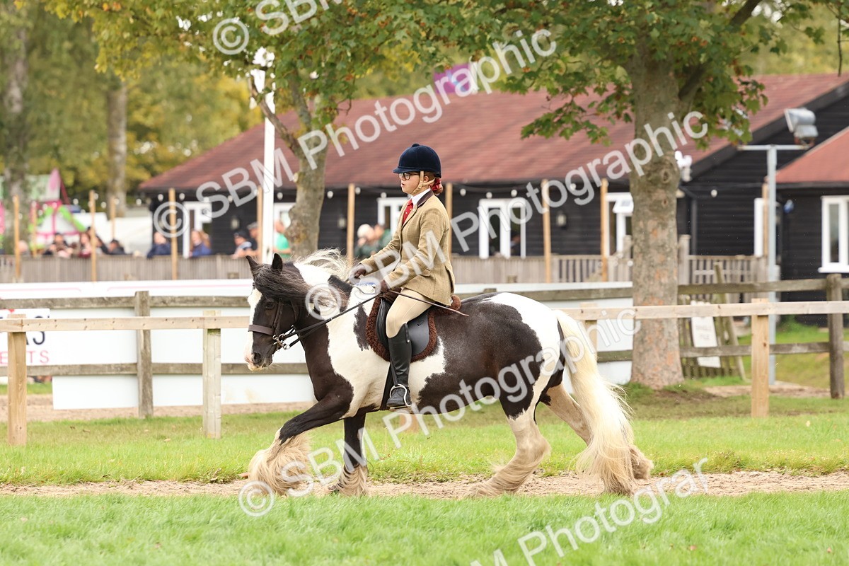 SBM_59975 - S36 - Rehabiliated Rescue Horse & Pony In Hand & Ridden