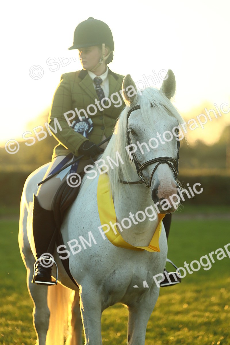 SBM_56701 - Fun & Versatile Supreme Championship