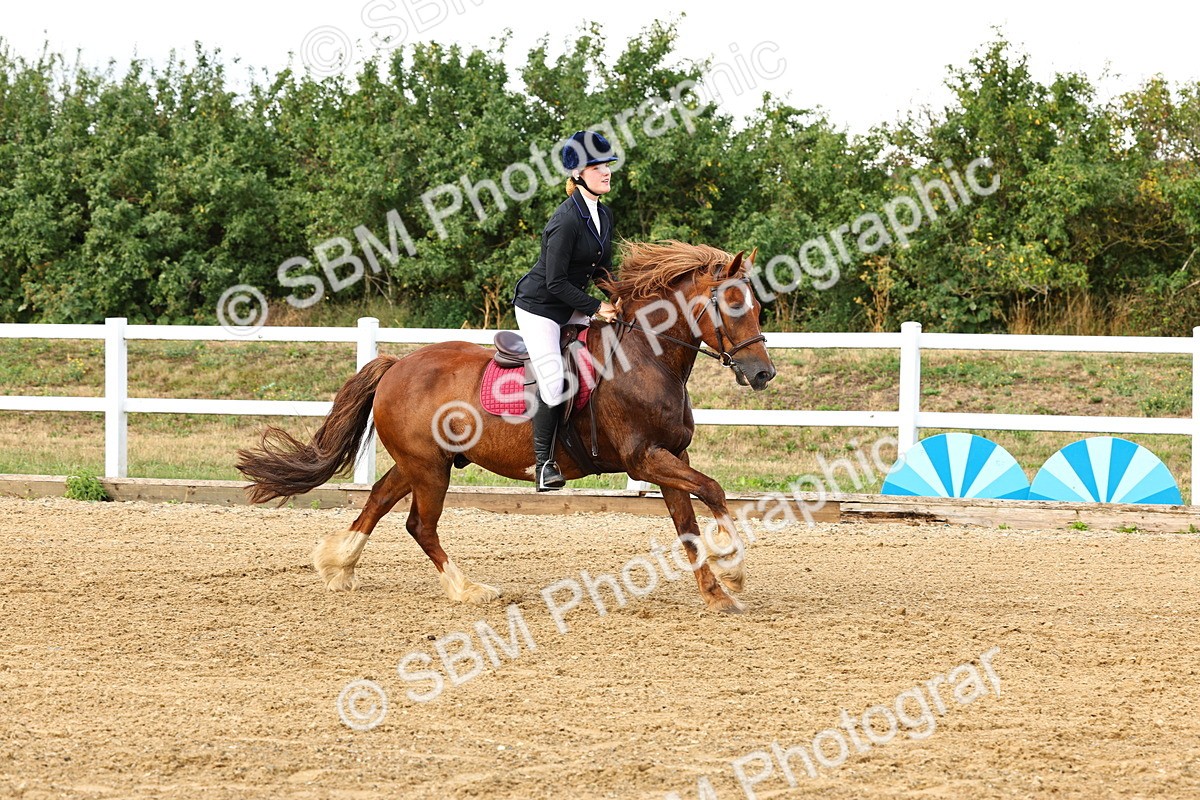 SBM_002635 - Class 7 - 1.00m