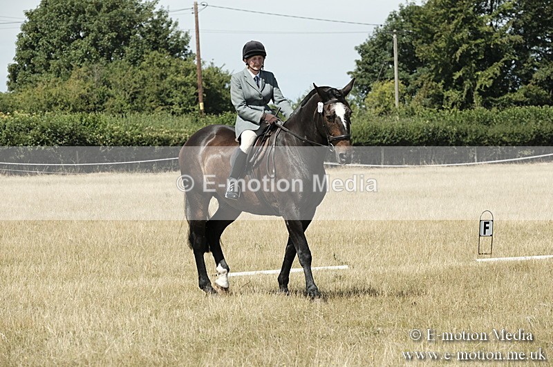 _PJP5822 - Dressage Classes BVRC Show 2018