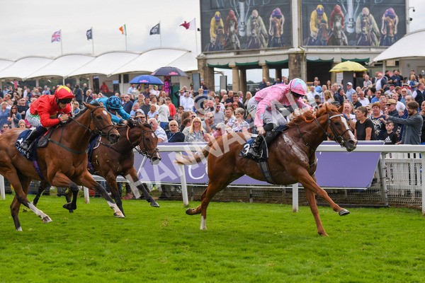 250823-Race 4-Live In The Dream-0675 - Race 4 3.35pm Coolmore Wootton Bassett Nunthorpe Stakes