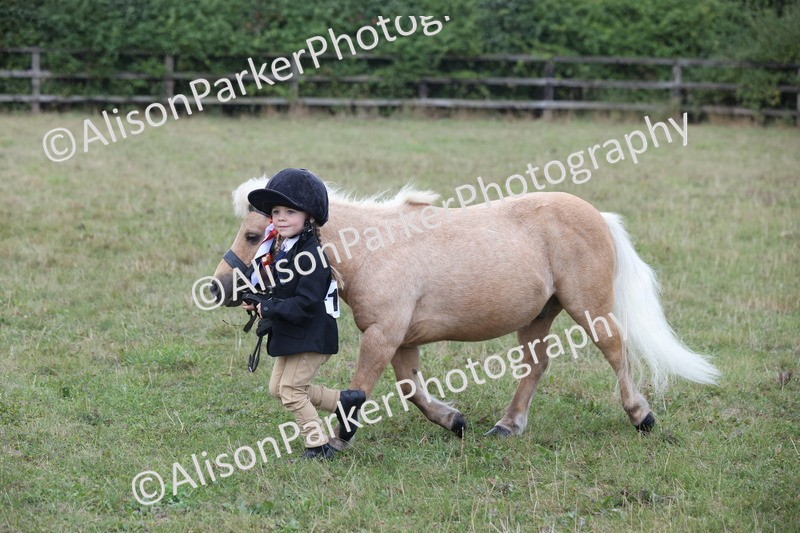 20250831-3084 - Inhand Championship