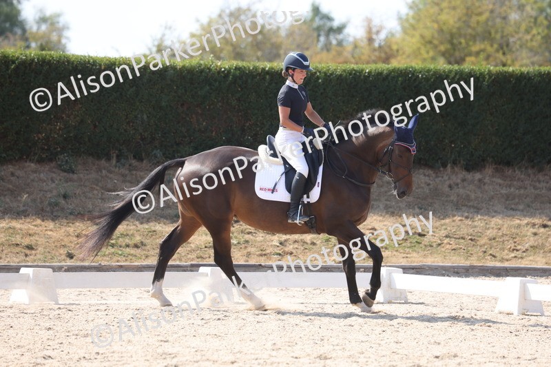 20260815-1161 - Class 6 - Novice 2
