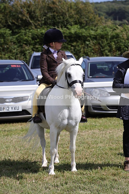1X9A5366 - Class 37: NPS M&M First Ridden
