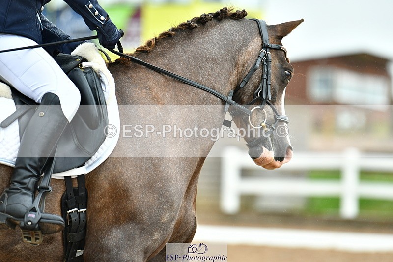 230630A-161011-03437 - Cls 9 Quest Novice 28