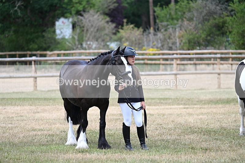 WJ7_1545 - Class 4 Prettiest Mare up to 14.2hh in hand