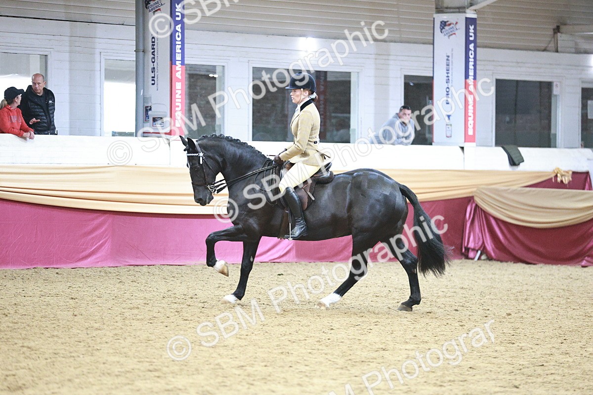 SBM_09009 - Class 12R - Regional Ridden Pre-Vet