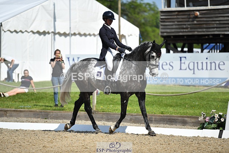 230525-101837-01683 - 311-BALLYCOSKERRY_REGAL_DIAMOND-Hollie_Swain-WEDTrotUp+DR