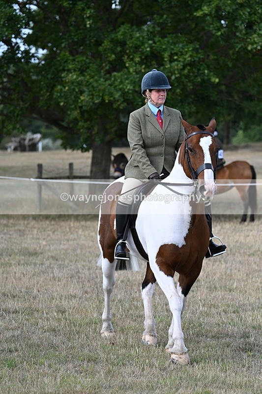 WJ7_7132 - Class 14 Ridden Coloured