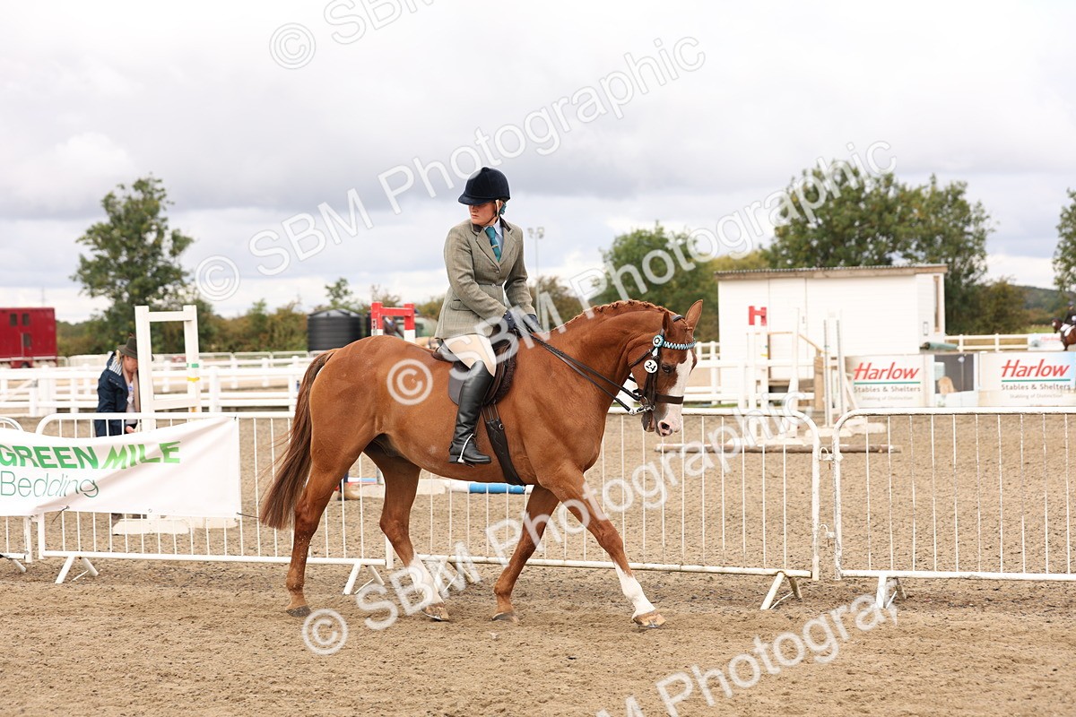 SBM_02792 - Class 53 - Ridden Competition Horse/Pony