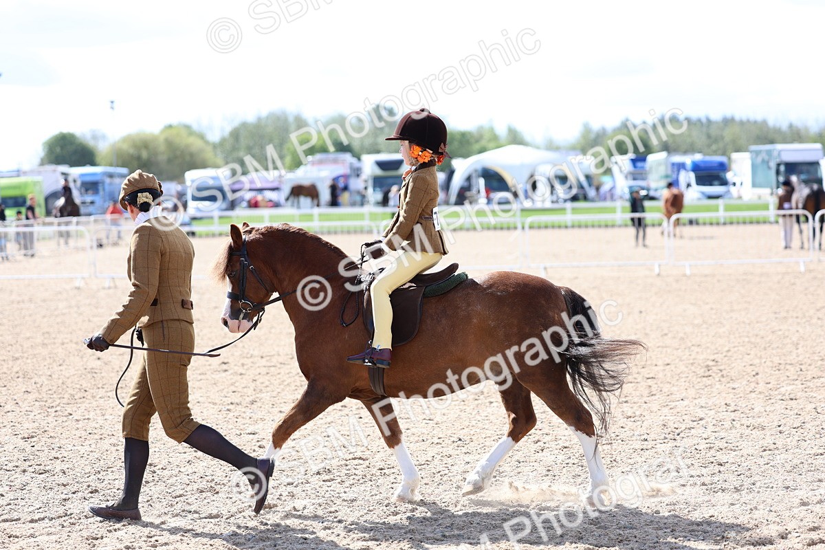 SBM_13068 - Class 309 - Lead Rein Pony