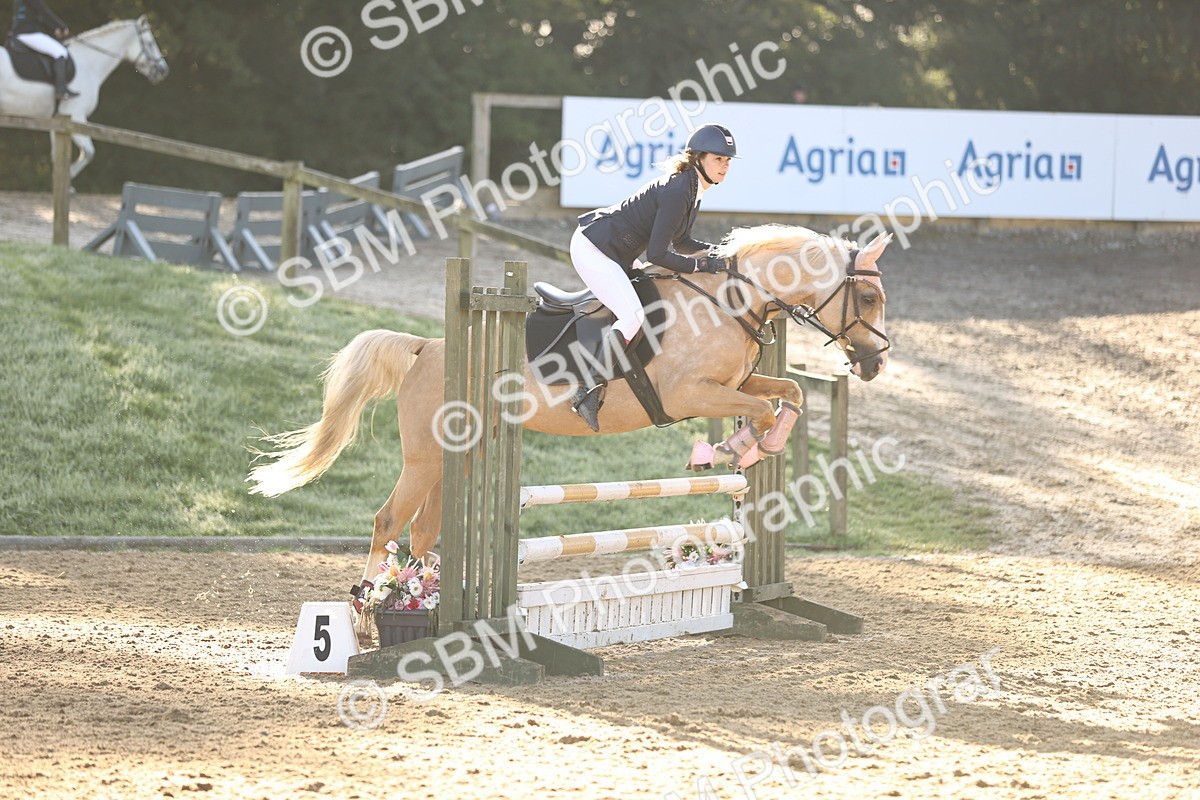 SBM_34601 - J38 - Senior 80cm Championship