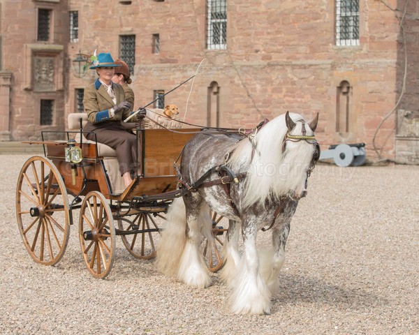 day 1-494 - Attelage 24 Routier Day 1