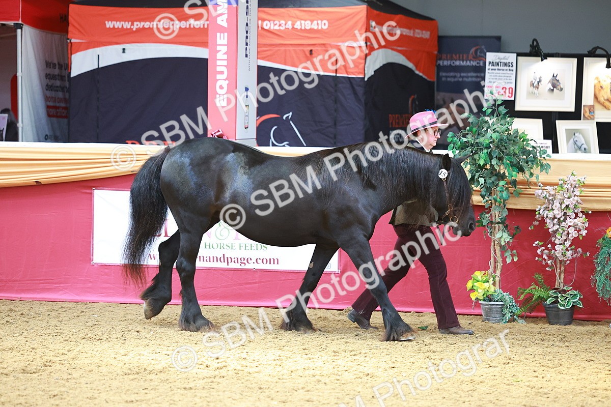 SBM_04170 - Class 9R - IH Pre-Vet