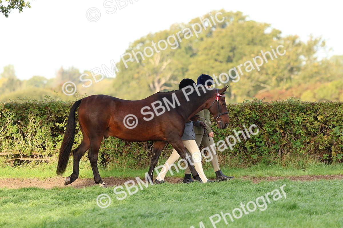 SBM_54750 - S39 - Starters In Hand Showing