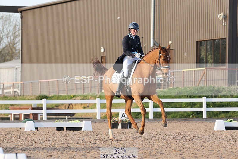 250404-184134-08317 - 135-Megan.Field-Bright.Time