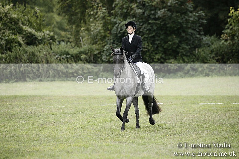 BVR080918 332 - BVRC Novice Dressage & CR 08/09/18