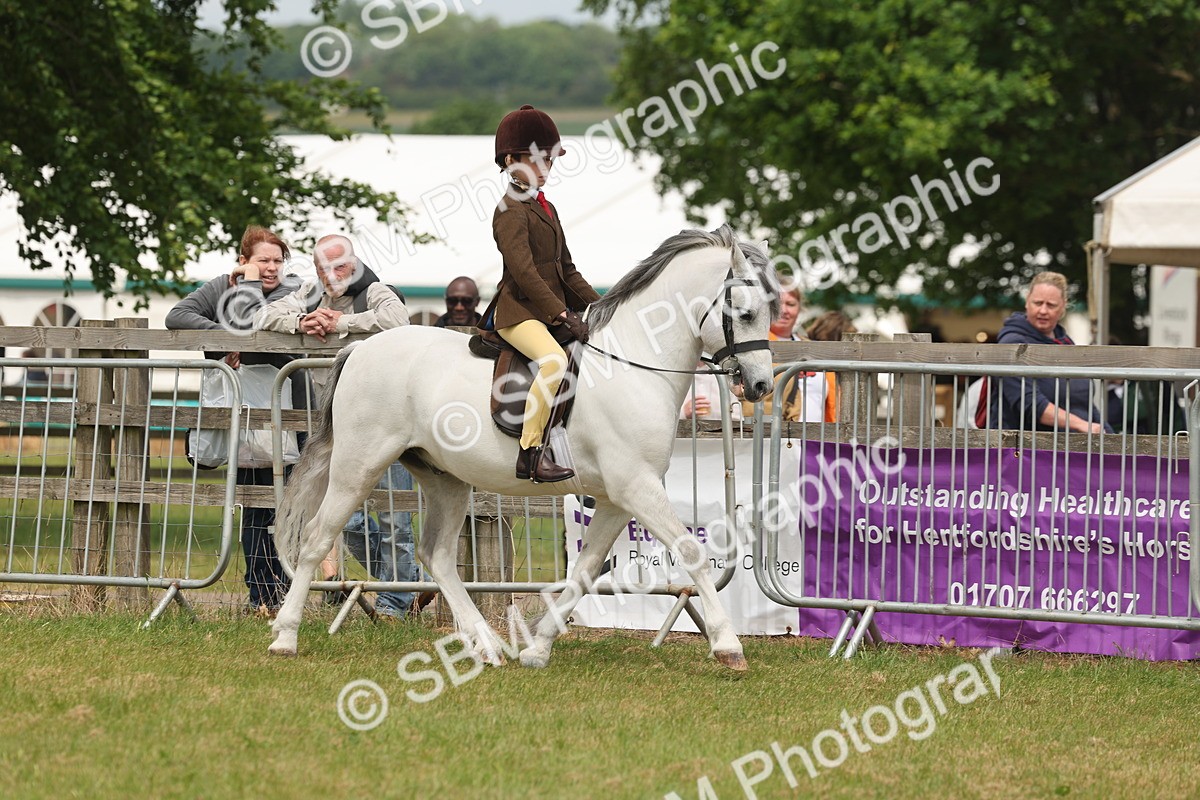 SBM_06862 - Class 74-75 - M&M Lead Rein and First Ridden Pony