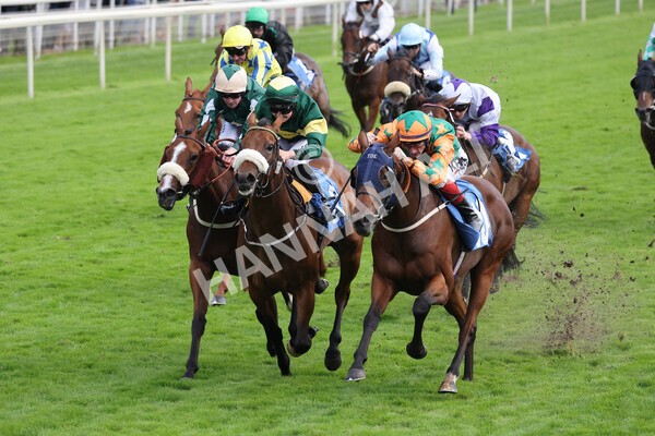 yr24092021r7-21 - Race 7 4.55pm William Hill Free or Four Fillies' Stakes