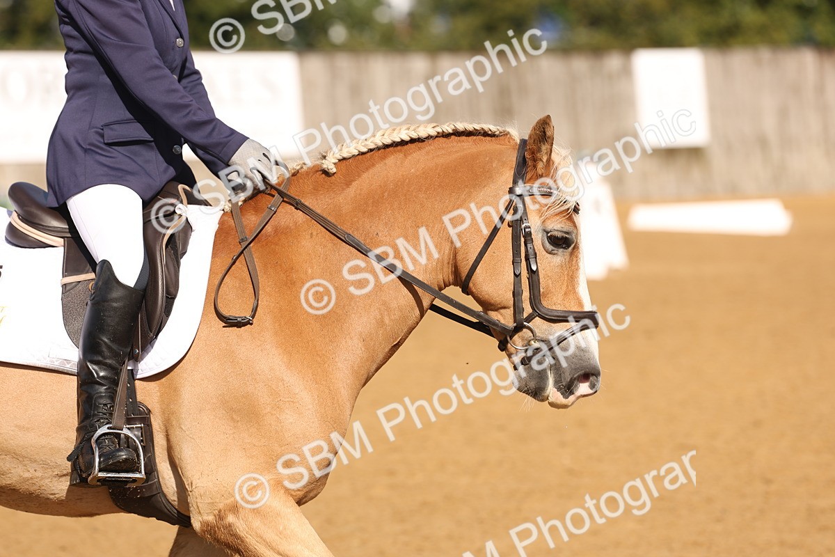 SBM_37672 - D18 - Grand Tour Championship Novice 2