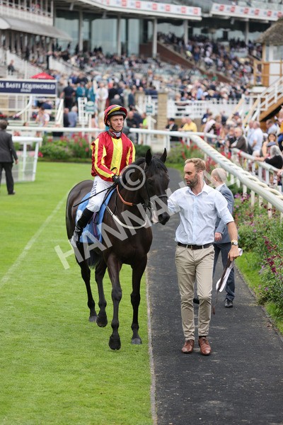 yr20082021r6-12 - Race 6 4.40pm Assured Data Protection British EBF Fillies' Stakes