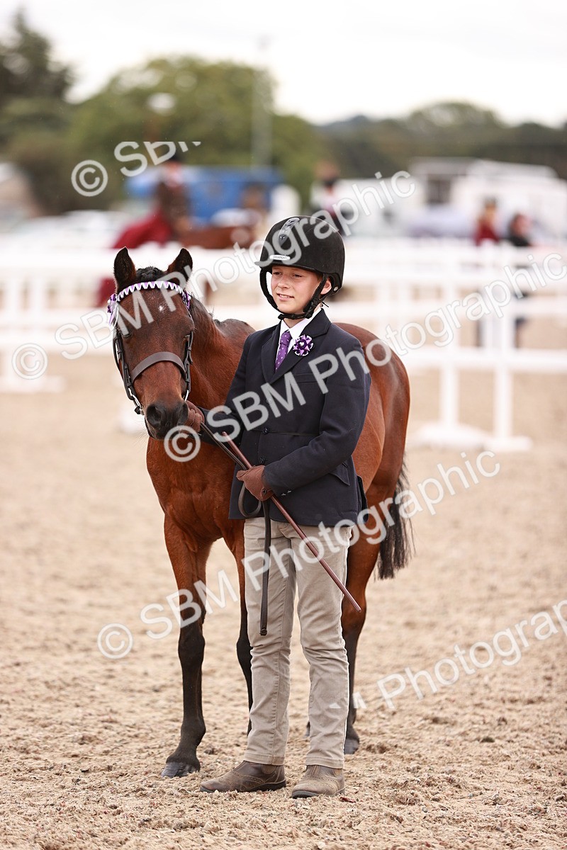 SBM_18480 - Class 420 - Ridden M&M