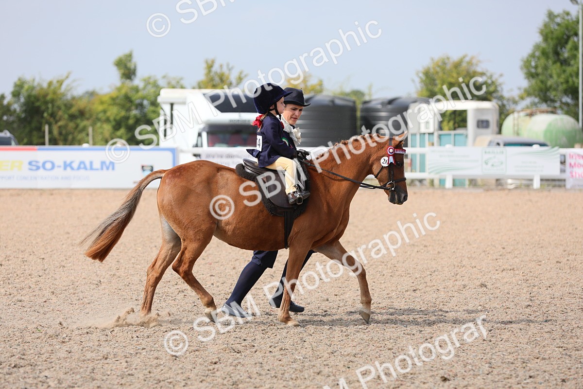 SBM_14135 - Class 309 Lead Rein Pony