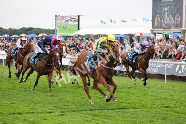 yr22072022r3-51 - Race 3 6.20pm Tomahawk Stakes