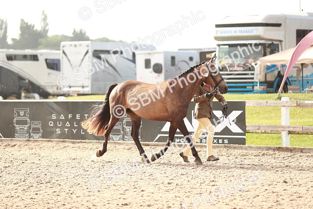 SBM_10512 - Class 204 Young Handler, 11-16 years