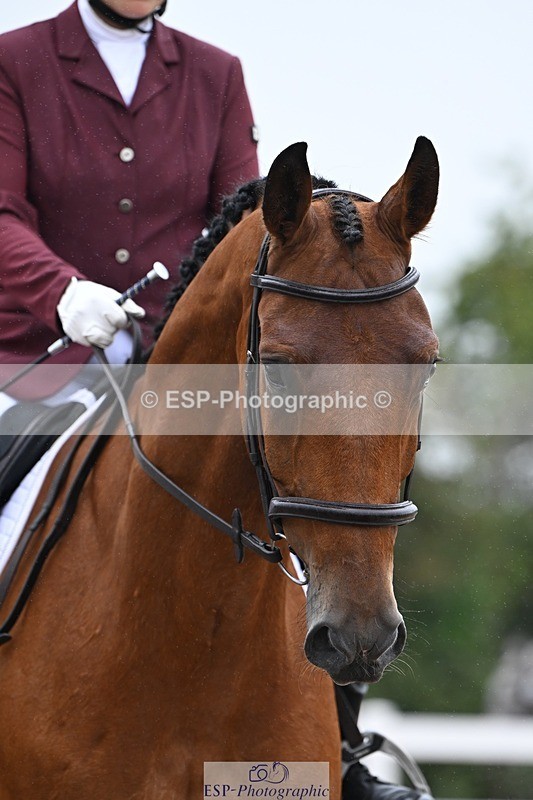 250705-151024-02177 - P3 Sections BDP3SNR, BDP3JNR 12.46 to 13.35