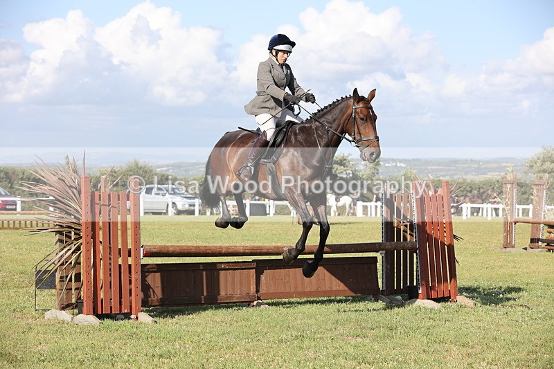 JPP_3106 - Class 21: Working Hunter 80cm