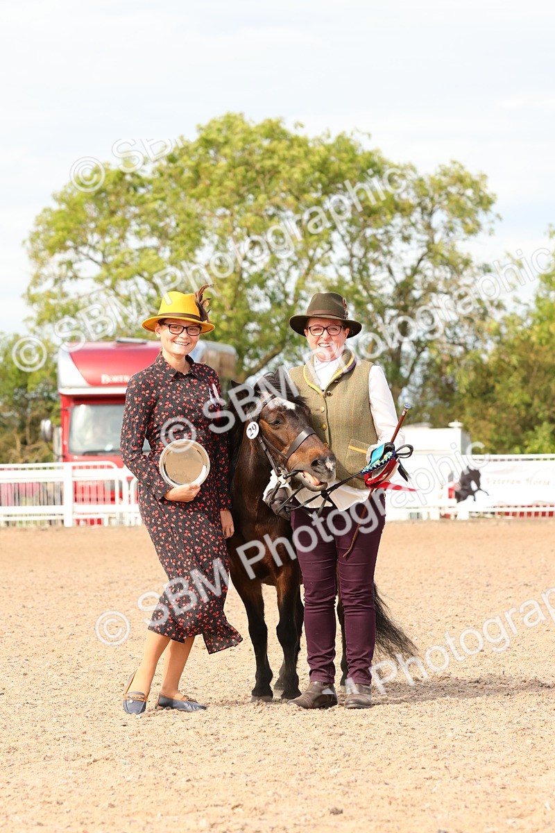 SBM_18051 - Class 707 - IH Groom - Helpers Glass