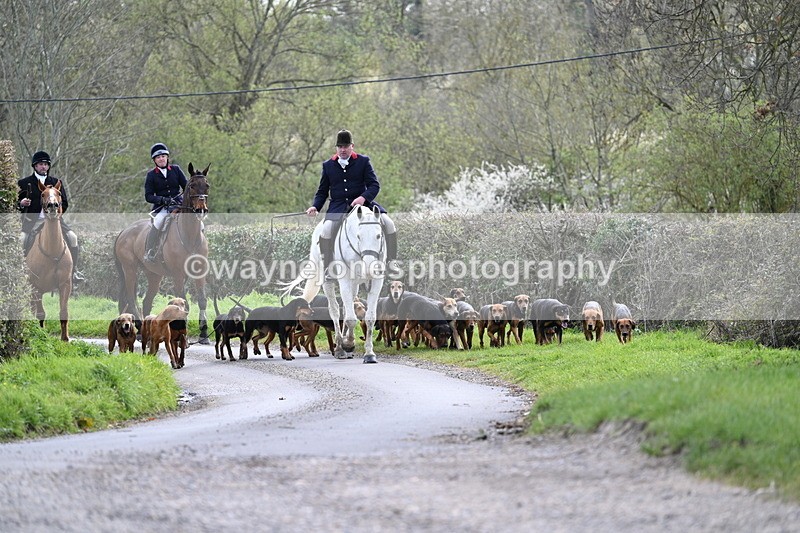 WJ7_9753 - Walk Home