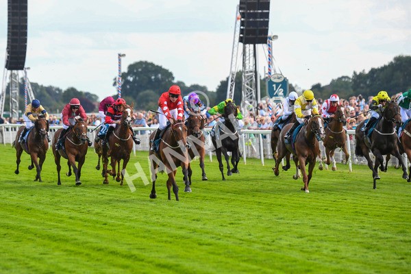 280723-Race 1-Tele Red-0053 - Race 1 5.00pm Pearly Cow Handicap