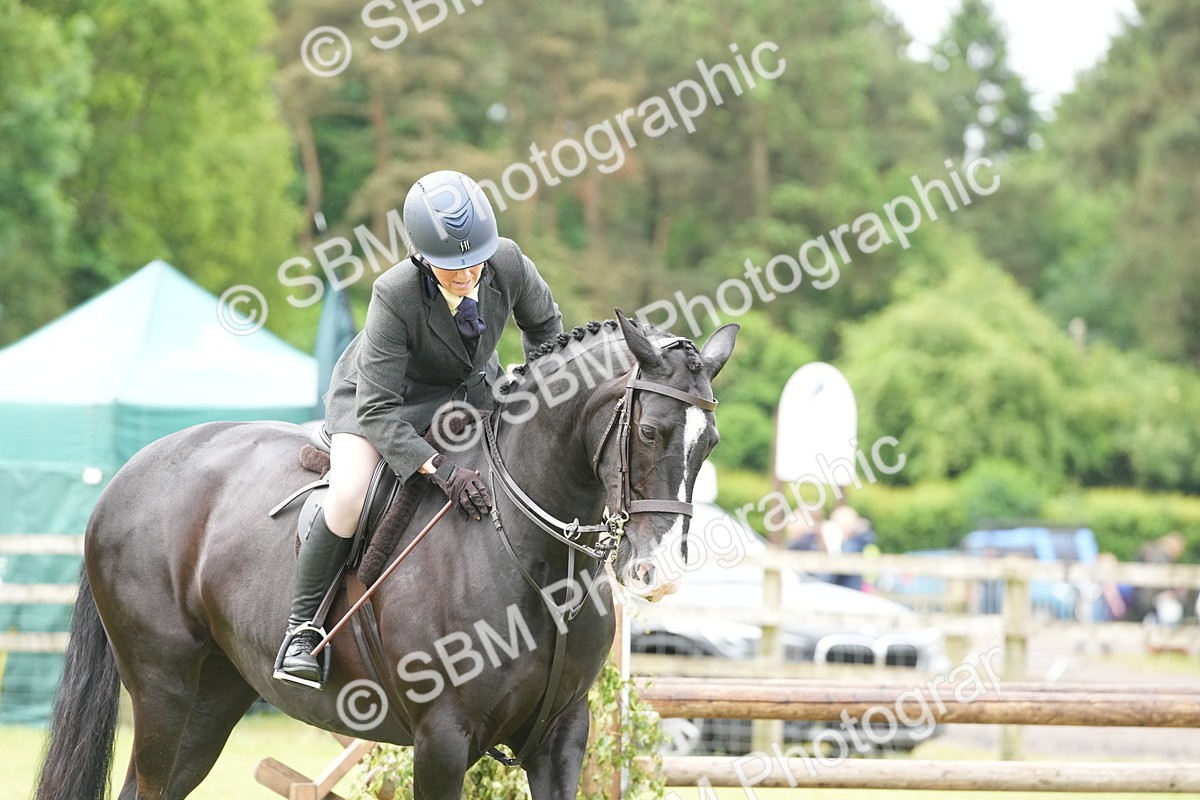 SBM_12719 - Class 97-98 - LIHS BSHA Rising Star Working Show Horse Hunter