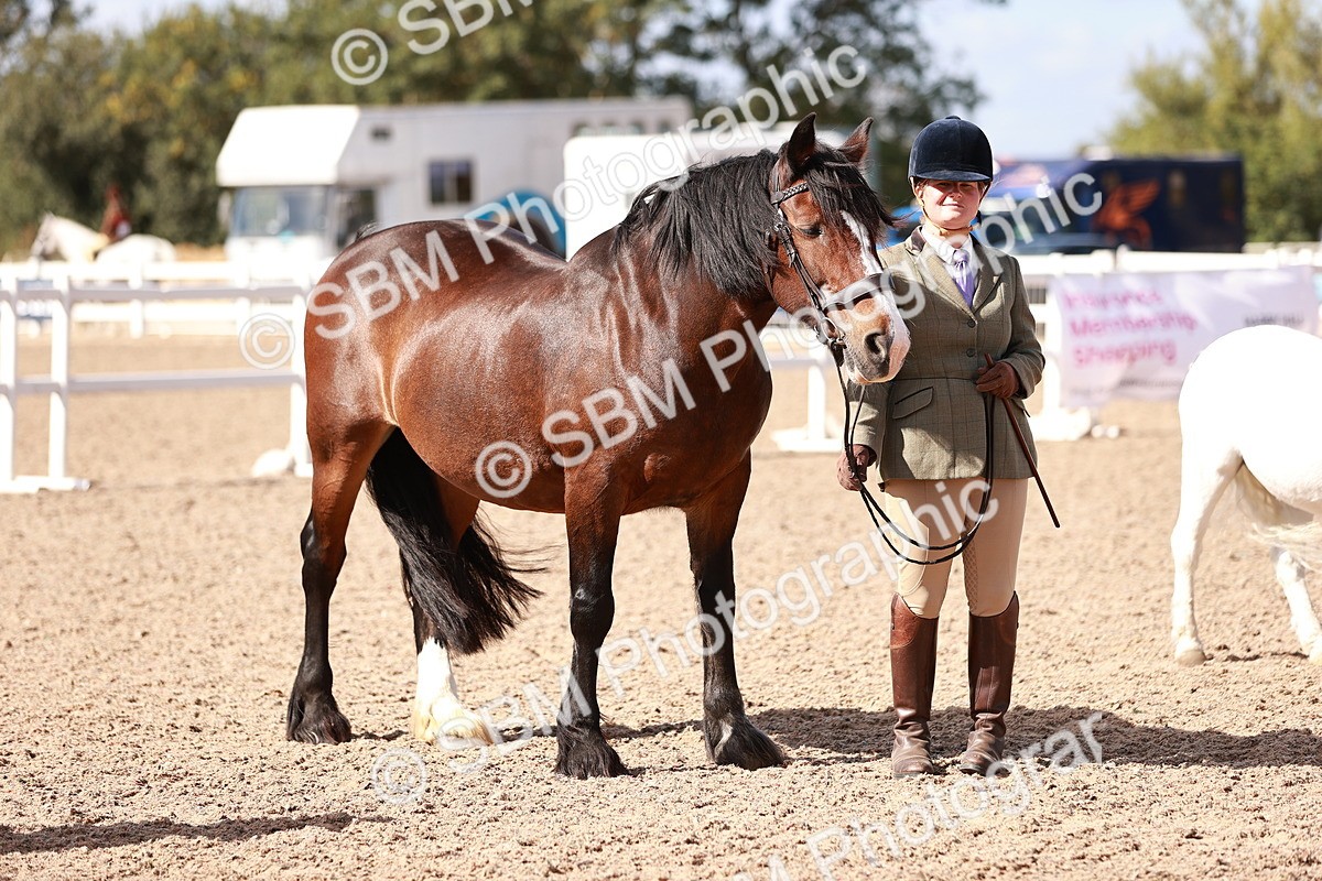 SBM_22915 - Class 706 - IH Veteran
