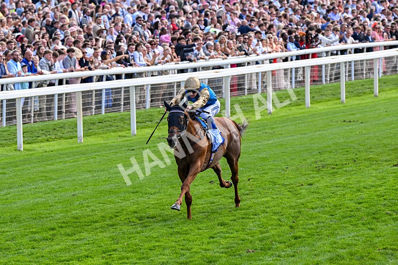 220826-Race 1-Archivist-0225 - Race 1 13.50pm Sky Bet Strensall Stakes