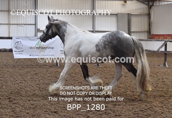 BPP_1280 - MORNING 9AM - 12PM