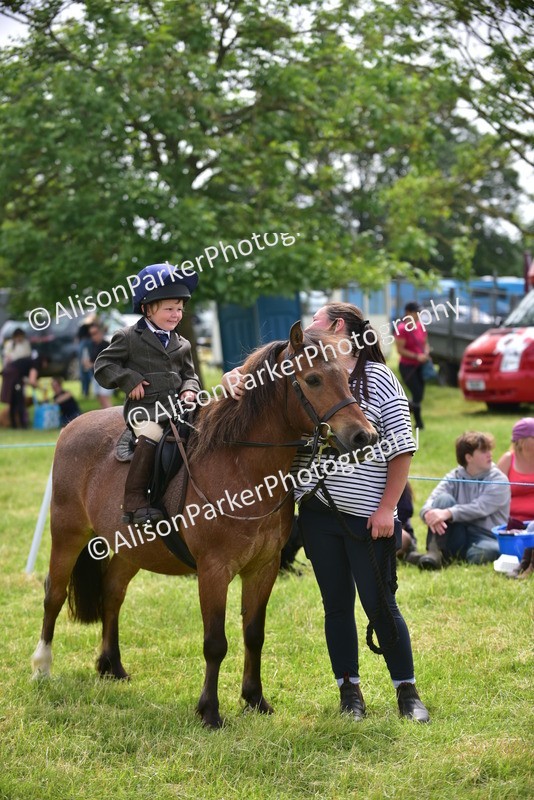 20260614-4015 - Class 16 - Handsome Gelding