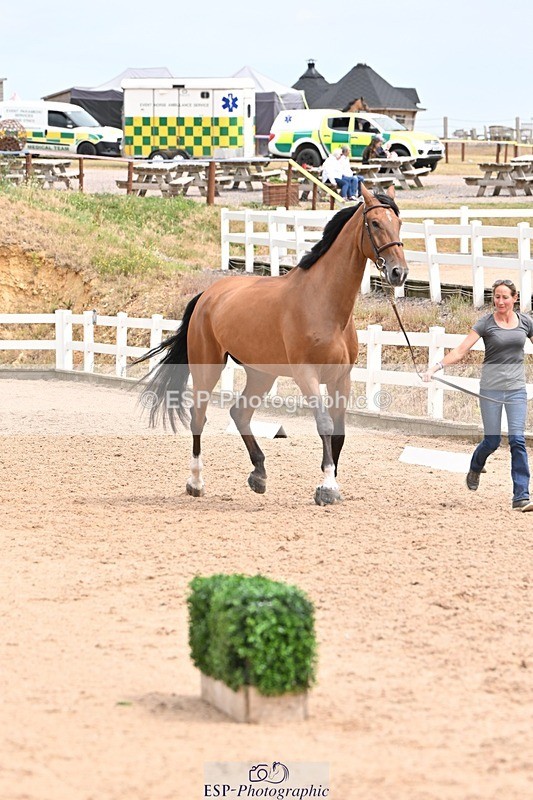 250716-144854-01427 - Trot Up 2.30 to 3.30