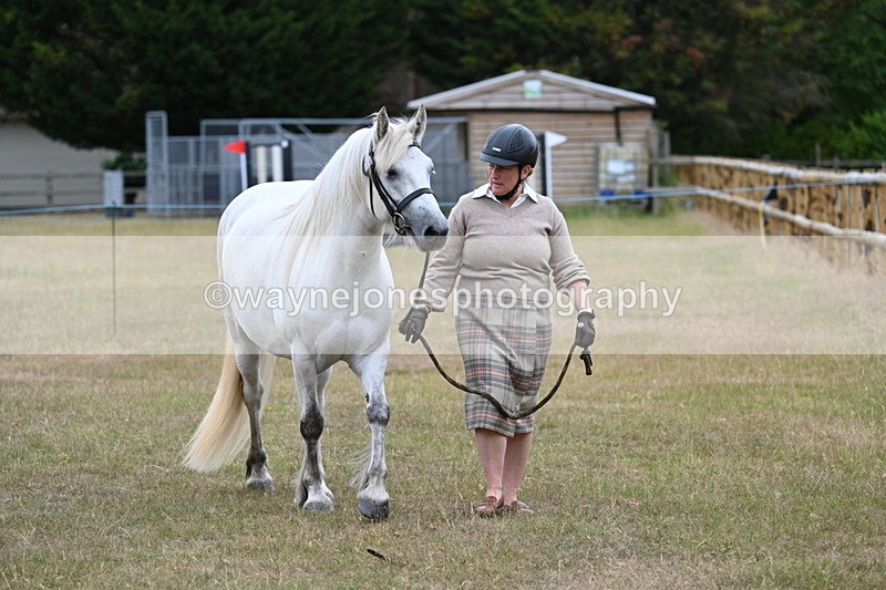 WJ7_9023 - Class 4a Prettiest Mare 14.2hh and over